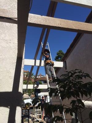 Escocia Termite carpentry crew installing new beams.