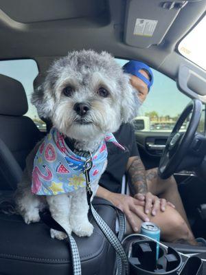 First grooming session! Micaela did an excellent job!