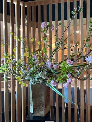 Cherry Blossom at Japanese restaurant