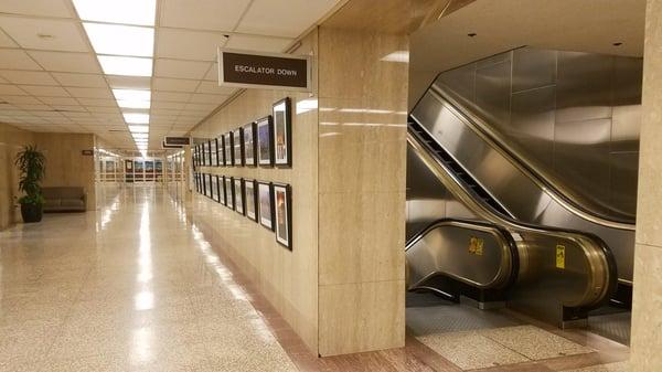 Marble, terrazzo flooring and stainless.