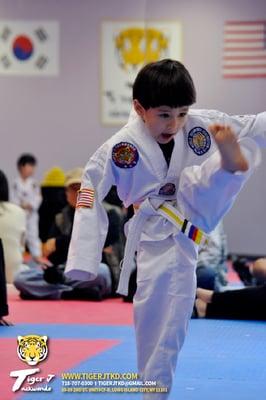 Tiger J Taekwondo's 2nd Belt Promotion Test 
  _4/18/15