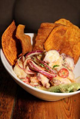 Ceviche Mixto