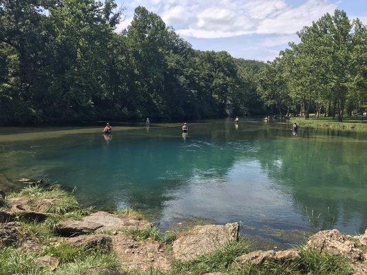 Fly fishing right at the spring