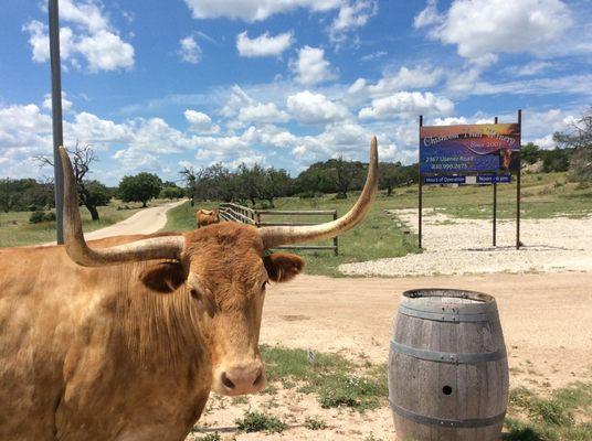 Chisholm Trail Winery