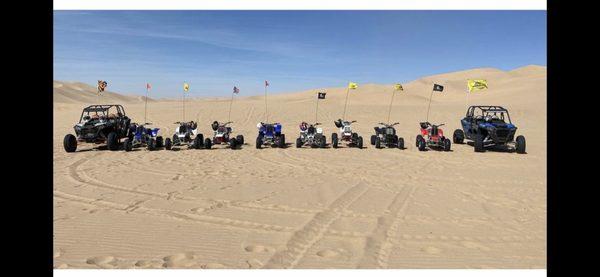 Banshee, Rzr,Glamis