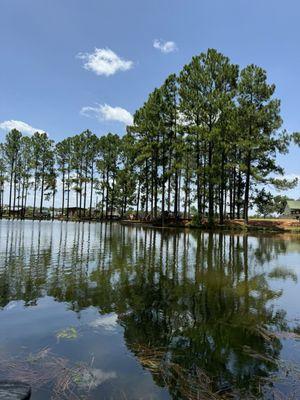 Lake behind store. Buggy, broken seating & trash in the water.