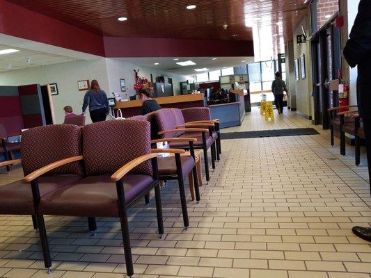 The waiting room of the Small Animal Hospital.