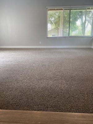 Allied Carpet Care