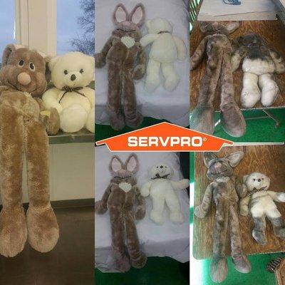 These poor stuffed animals suffered from smoke damage, but Servpro of SE Monroe County made them look and smell like it never even happened.