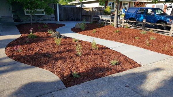 Low maintenance, curb appeal, drought tolerant.