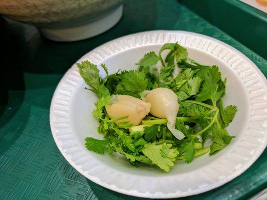 Garlic + Cilantro