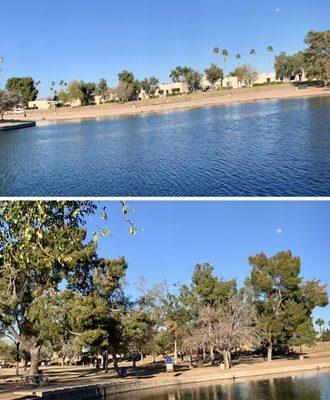 Charming sceneries by the pond with the early evening moon!   Feb 2021