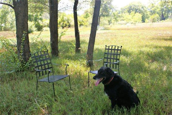 Rupert is waiting to listen