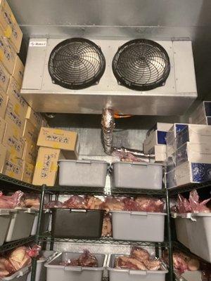 Service call from walk in freezer