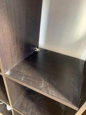 Damaged shelf