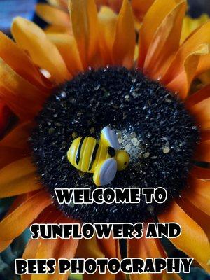 My logo... Welcome to Sunflowers and Bees Photography...