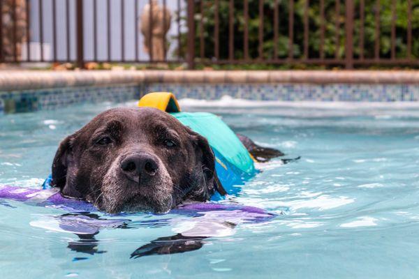 Jessie's Pool at Healing Heart Grounds