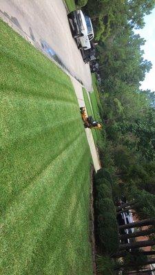 Israel Landscaping & Lawn Service