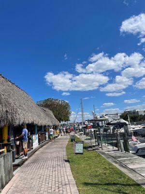 Nauti Parrot Tiki Hut