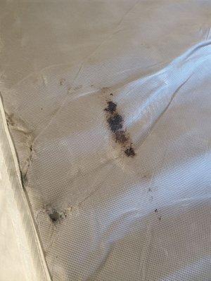 Worn out bed.