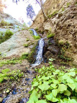 Monrovia Canyon Park