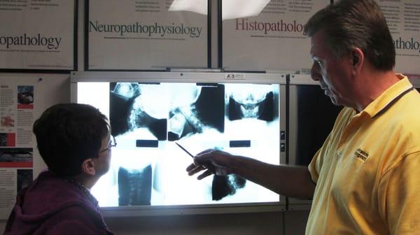 full diagnotics / xray