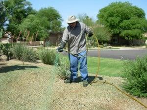 Weed Control