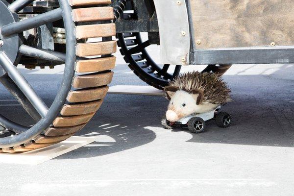 remote controlled hedgehog