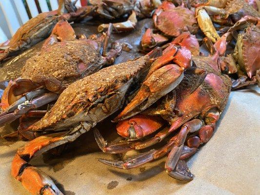 Blue crabs  steamed and served