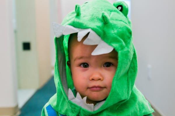 Little dino