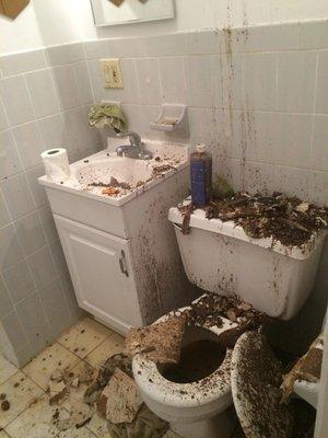 This is just ridculous ... how are we supposed to have a nice night out when your bathroom looks like this