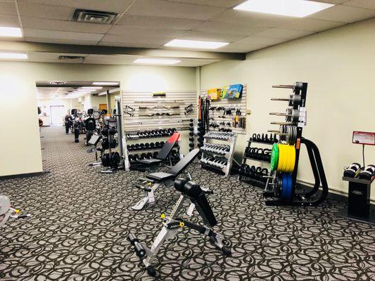 Free Weights, Dumbbells, Benches, and Plates and Bars