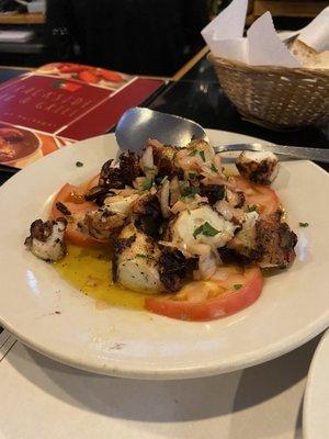 Grilled octopus appetizer