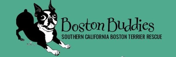 Boston Buddies is a Southern Californa Boston Terrier Rescue.