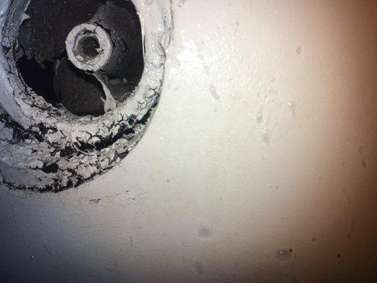 Mold and water damage