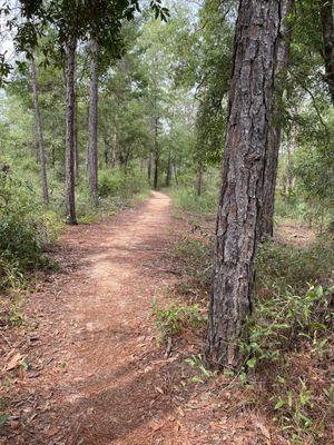 Tallahassee-St. Marks Historic Railroad State Trail