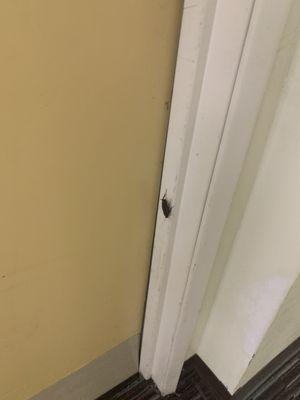 A roach on one of the doors.