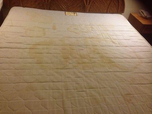 Room 309. Stained yellow and brown. The bottom side is worse