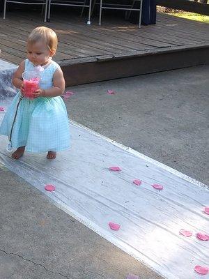 The youngest flower girl I've ever seen! 8 months!