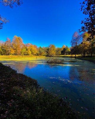 Small pond near water park area