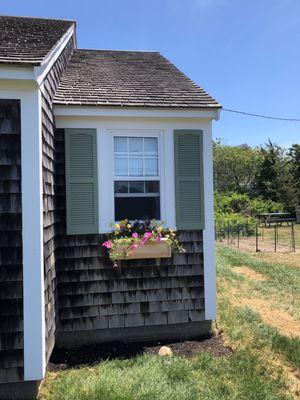 Window boxes