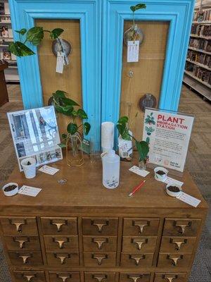 Plant cuttings share station