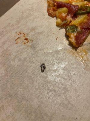 Cooked fly in pizza.