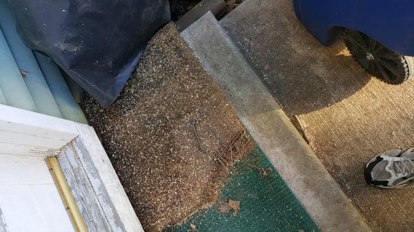 Sawdust left after they were done.