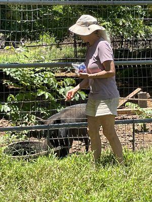 Ann with Nick, a very smart and playful pig!