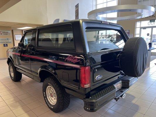 Bad ass bronco