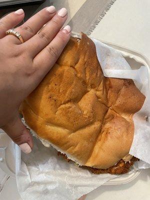 Huge a** chicken milenesa torta, 10$. Wish it had more sauce on the inside but it was still tasty.