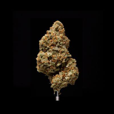 Papaya - 1st Place Best Sativa Hempcon 2016!  http://www.cannabiscupwin­ners.com/cups-and-awards/hempcon-cup.html