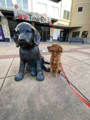 Roo was curious as to why this dog was so big.