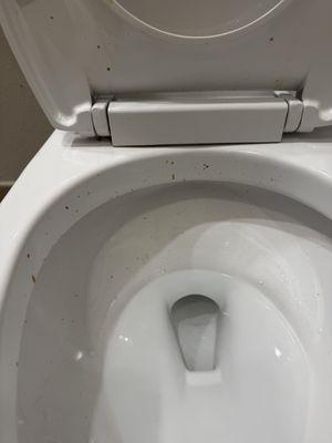 Dirty toilet with feces.